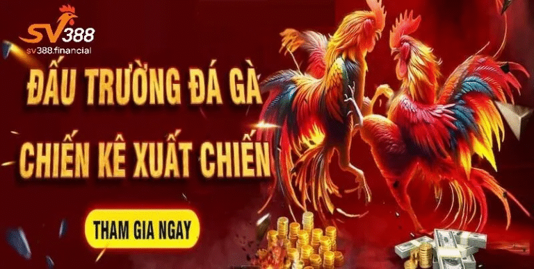 Sv388 Officially Launches Its New Digital Platform in 2025